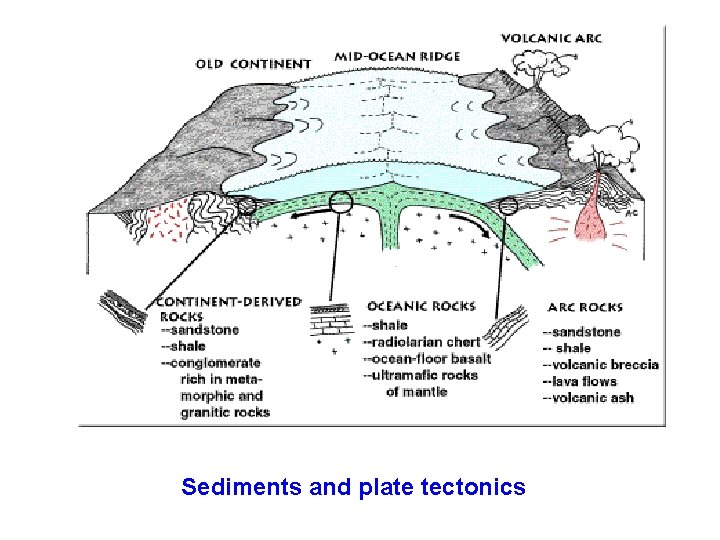 Sediments and plate tectonics 