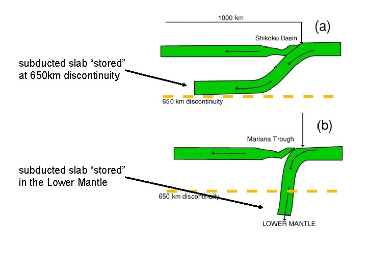 subducted slab “stored” at 650 km discontinuity subducted slab “stored” in the Lower Mantle