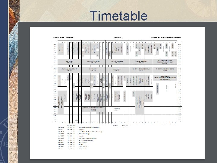 Timetable www. medschool. pte. hu 