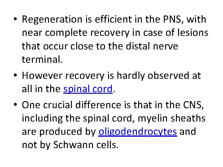  • Regeneration is efficient in the PNS, with near complete recovery in case