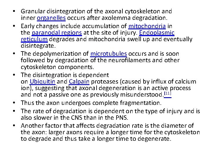  • Granular disintegration of the axonal cytoskeleton and inner organelles occurs after axolemma