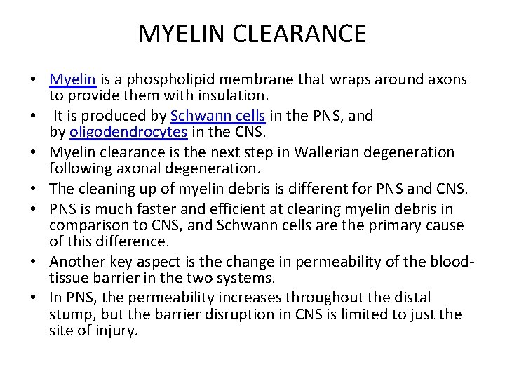 MYELIN CLEARANCE • Myelin is a phospholipid membrane that wraps around axons to provide