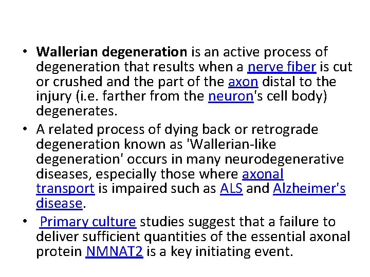  • Wallerian degeneration is an active process of degeneration that results when a