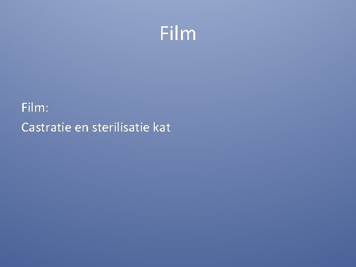 Film: Castratie en sterilisatie kat 