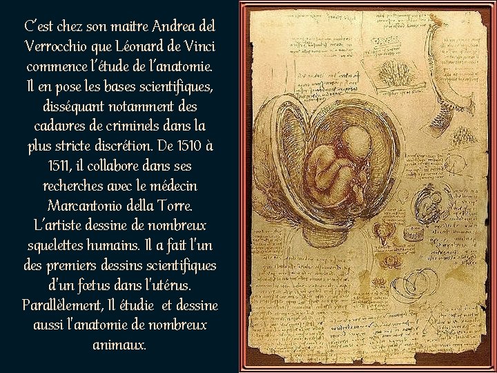 C’est chez son maitre Andrea del Verrocchio que Léonard de Vinci commence l’étude de