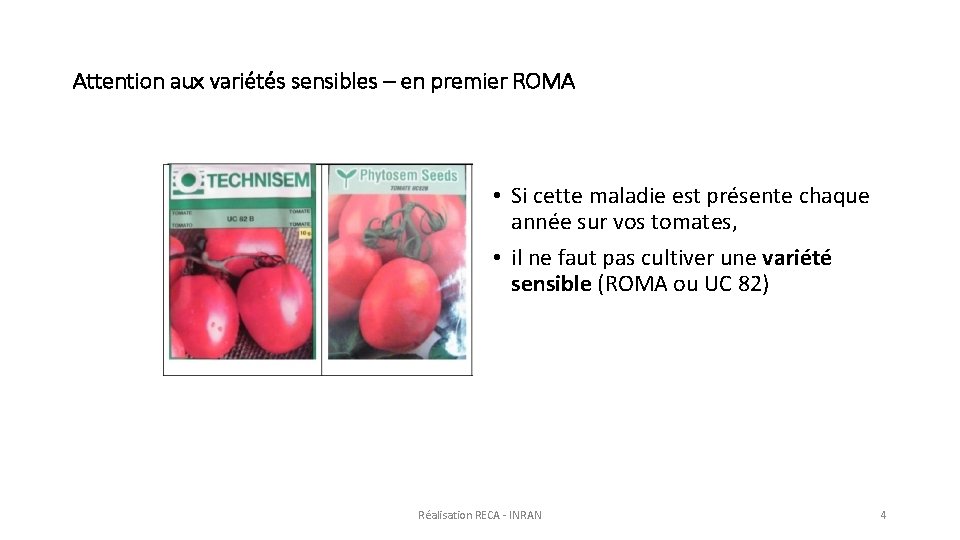 Attention aux variétés sensibles – en premier ROMA • Si cette maladie est présente