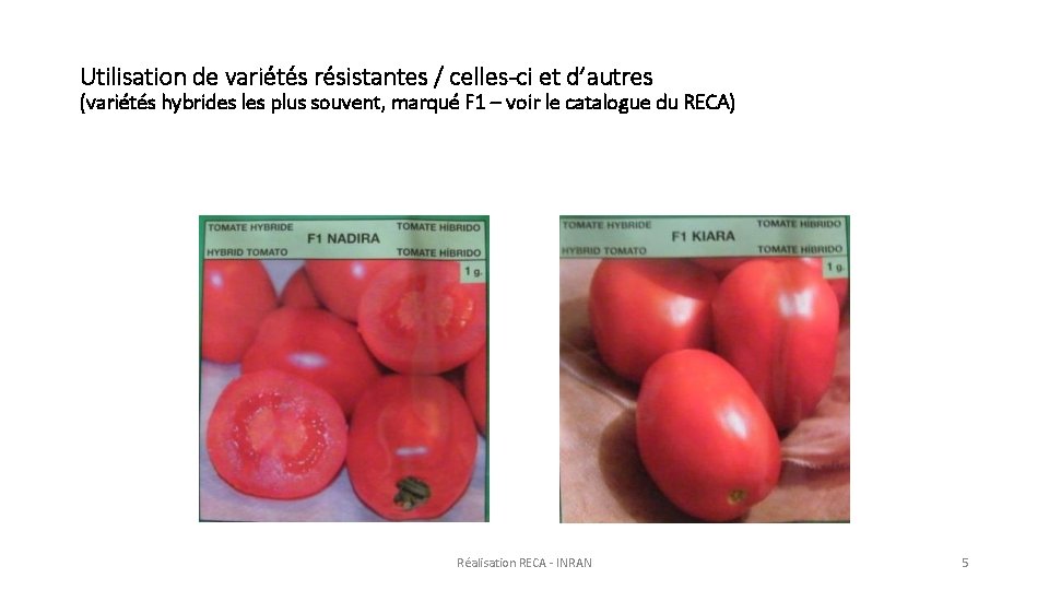 Utilisation de variétés résistantes / celles-ci et d’autres (variétés hybrides les plus souvent, marqué