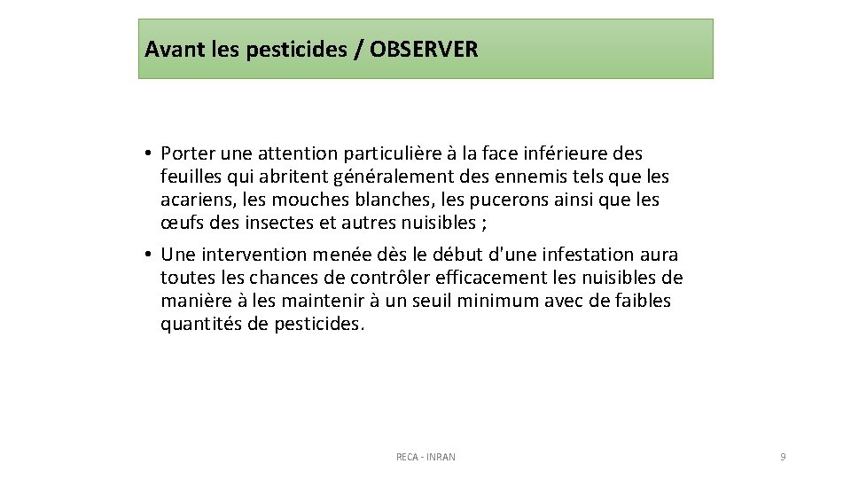 Avant les pesticides / OBSERVER • Porter une attention particulière à la face inférieure