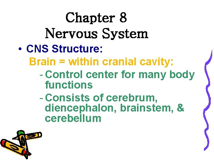 Chapter 8 Nervous System • CNS Structure: Brain = within cranial cavity: - Control