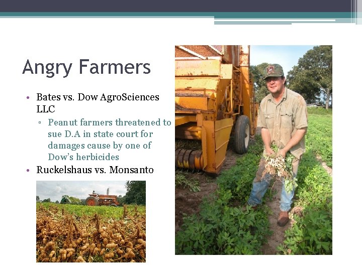 Angry Farmers • Bates vs. Dow Agro. Sciences LLC ▫ Peanut farmers threatened to