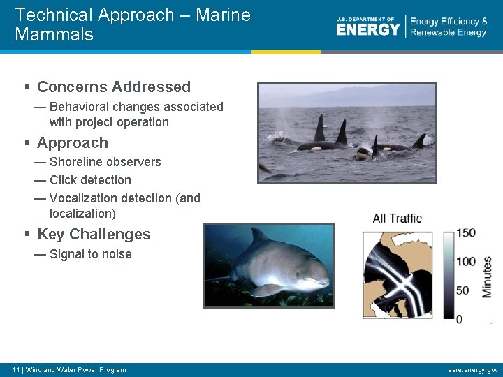 Technical Approach – Marine Mammals § Concerns Addressed — Behavioral changes associated with project