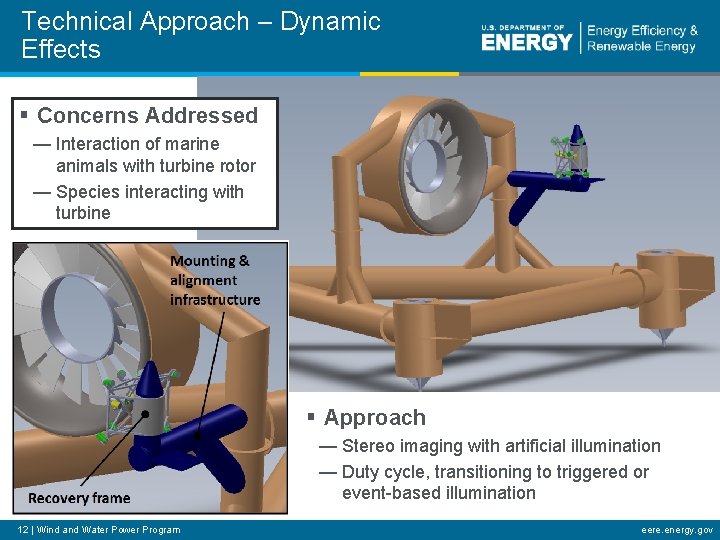 Technical Approach – Dynamic Effects § Concerns Addressed — Interaction of marine animals with