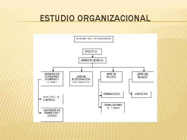 ESTUDIO ORGANIZACIONAL ESTUDIO ORGANIZACIONAL