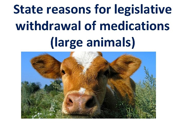 State reasons for legislative withdrawal of medications (large animals) 