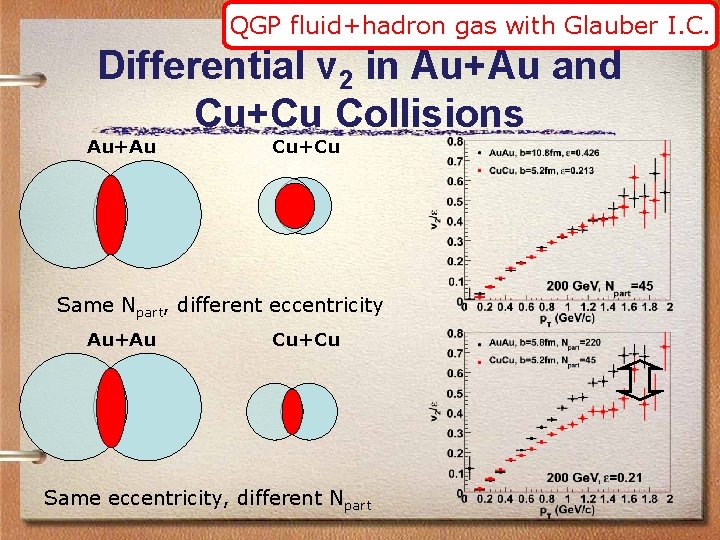 QGP fluid+hadron gas with Glauber I. C. Differential v 2 in Au+Au and Cu+Cu