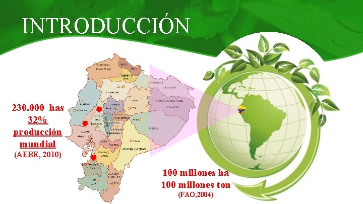 INTRODUCCIÓN 230. 000 has 32% producción mundial (AEBE, 2010) 100 millones ha 100 millones