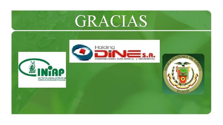 GRACIAS 