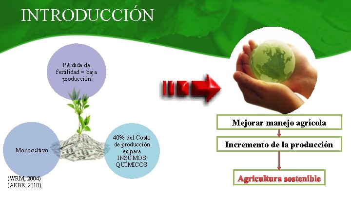 INTRODUCCIÓN Pérdida de fertilidad = baja producción Mejorar manejo agrícola . Monocultivo (WRM, 2004)