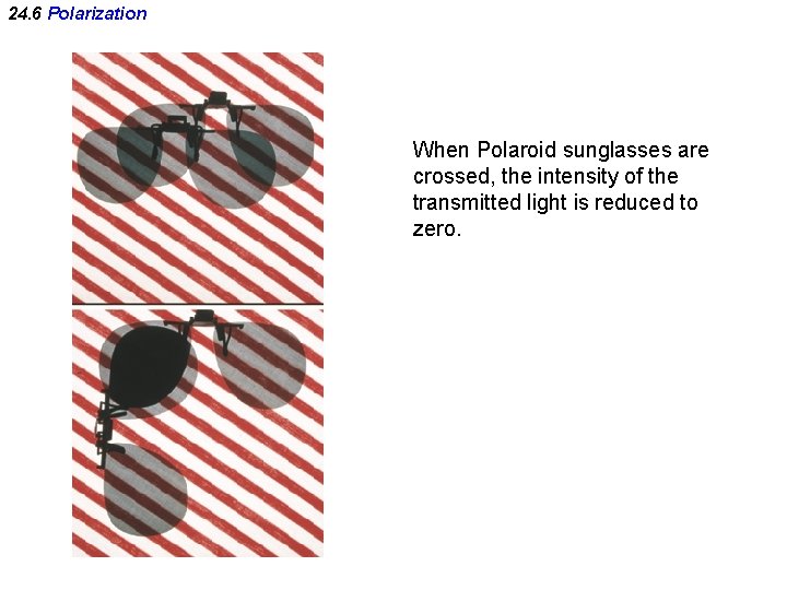 24. 6 Polarization When Polaroid sunglasses are crossed, the intensity of the transmitted light