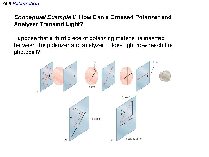 24. 6 Polarization Conceptual Example 8 How Can a Crossed Polarizer and Analyzer Transmit