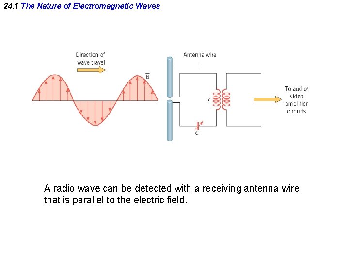 24. 1 The Nature of Electromagnetic Waves A radio wave can be detected with