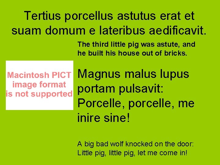 Tertius porcellus astutus erat et suam domum e lateribus aedificavit. The third little pig