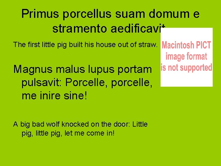 Primus porcellus suam domum e stramento aedificavit. The first little pig built his house