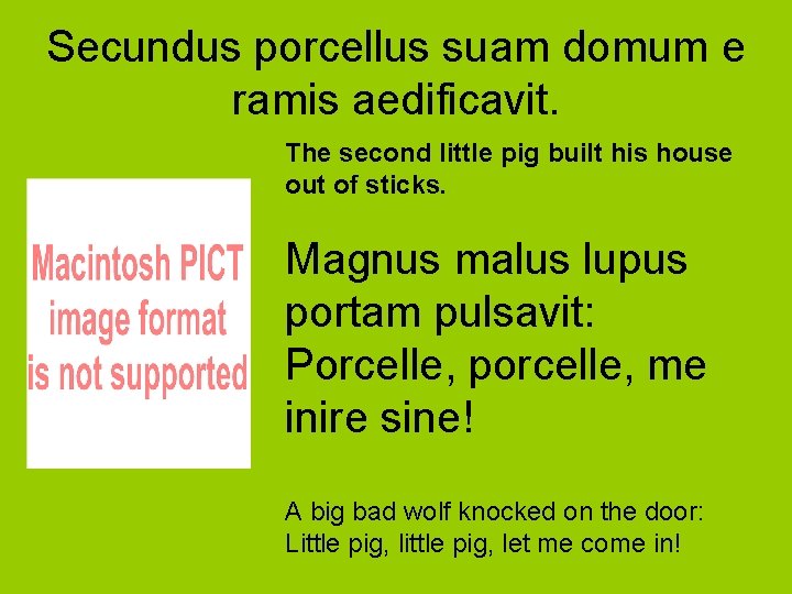 Secundus porcellus suam domum e ramis aedificavit. The second little pig built his house