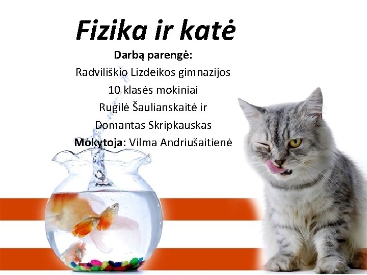 Fizika ir katė Darbą parengė: Radviliškio Lizdeikos gimnazijos 10 klasės mokiniai Rugilė Šaulianskaitė ir