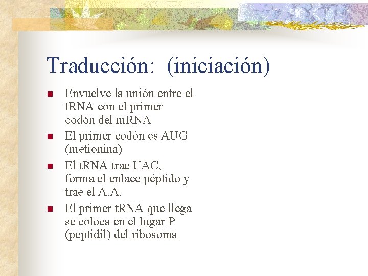 Traducción: (iniciación) n n Envuelve la unión entre el t. RNA con el primer