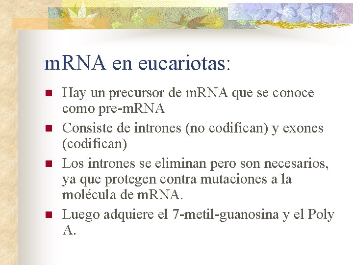 m. RNA en eucariotas: n n Hay un precursor de m. RNA que se