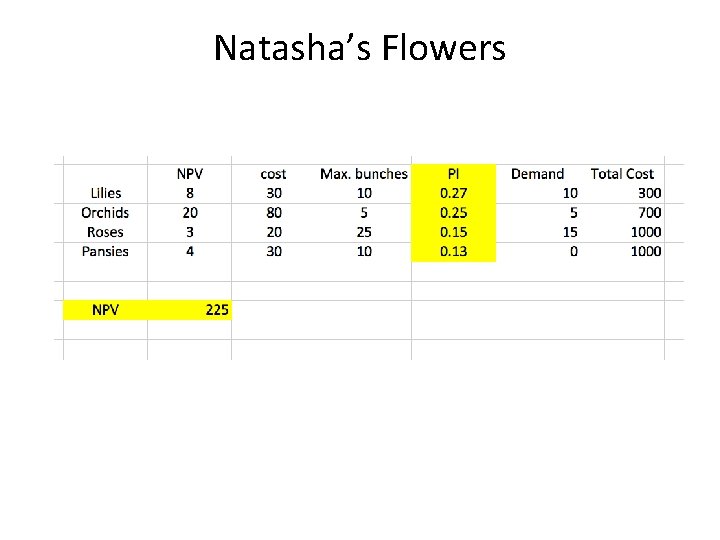 Natasha’s Flowers 