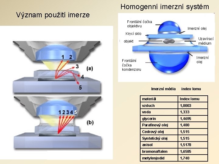 Homogenní imerzní systém Význam použití imerze Frontální čočka objektivu Imerzní olej Krycí sklo Uzavírací