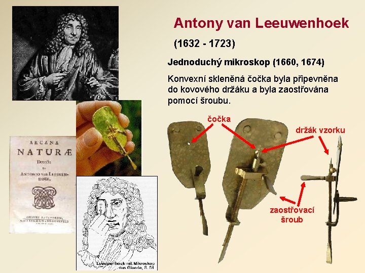 Antony van Leeuwenhoek (1632 - 1723) Jednoduchý mikroskop (1660, 1674) Konvexní skleněná čočka byla