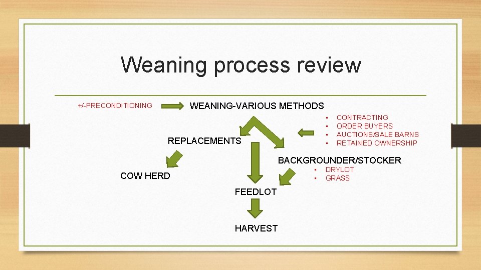 Weaning process review WEANING-VARIOUS METHODS +/-PRECONDITIONING • • REPLACEMENTS CONTRACTING ORDER BUYERS AUCTIONS/SALE BARNS