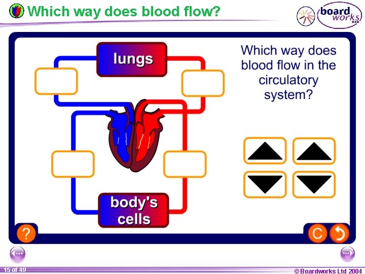 Which way does blood flow? 15 of 49 © Boardworks Ltd 2004 