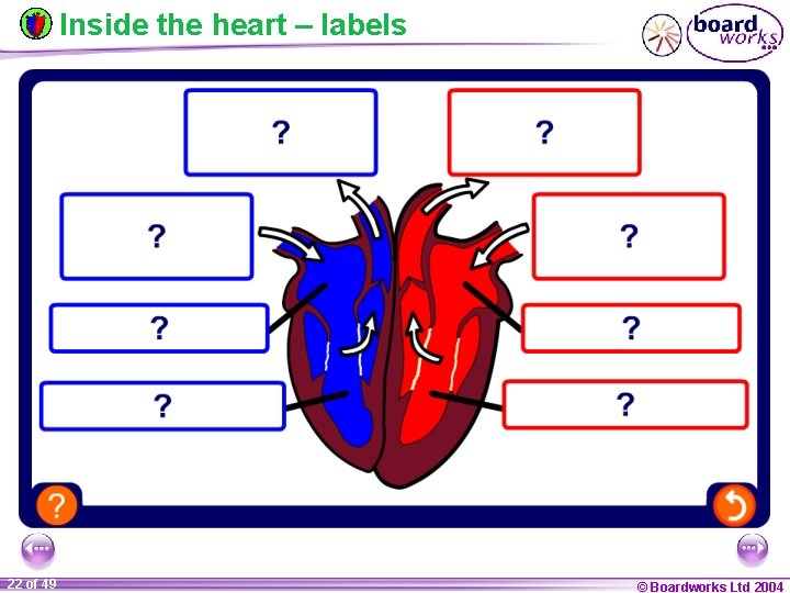 Inside the heart – labels 22 of 49 © Boardworks Ltd 2004 