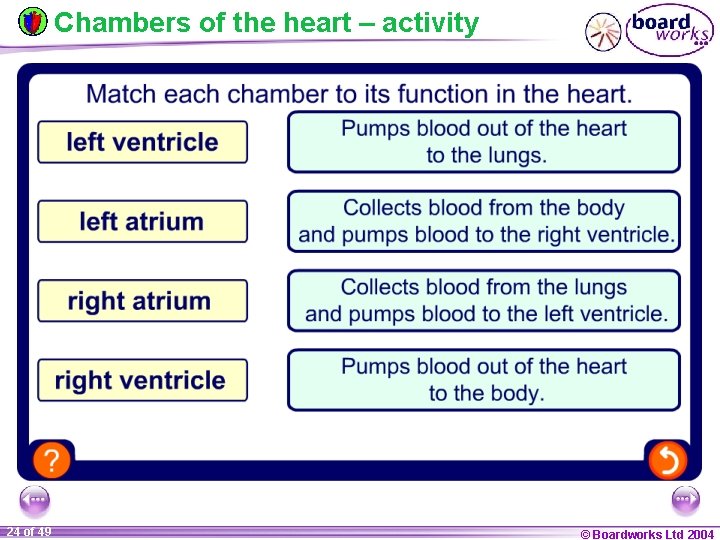 Chambers of the heart – activity 24 of 49 © Boardworks Ltd 2004 