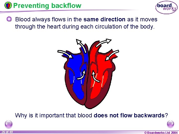 Preventing backflow Blood always flows in the same direction as it moves through the