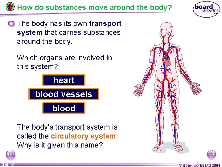 How do substances move around the body? The body has its own transport system