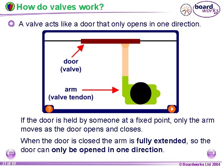 How do valves work? A valve acts like a door that only opens in