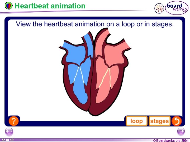Heartbeat animation 36 of 49 © Boardworks Ltd 2004 