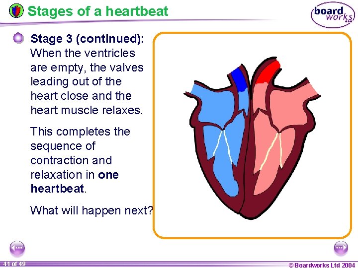Stages of a heartbeat Stage 3 (continued): When the ventricles are empty, the valves