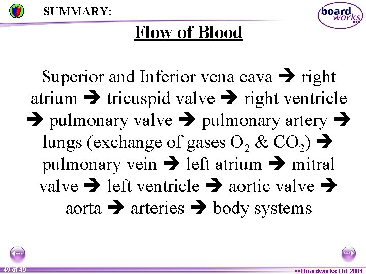 SUMMARY: Flow of Blood Superior and Inferior vena cava right atrium tricuspid valve right