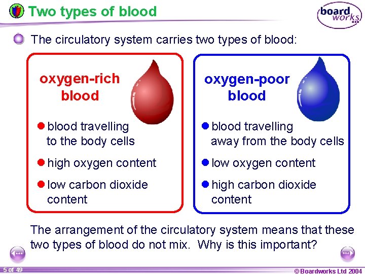 Two types of blood The circulatory system carries two types of blood: oxygen-rich blood