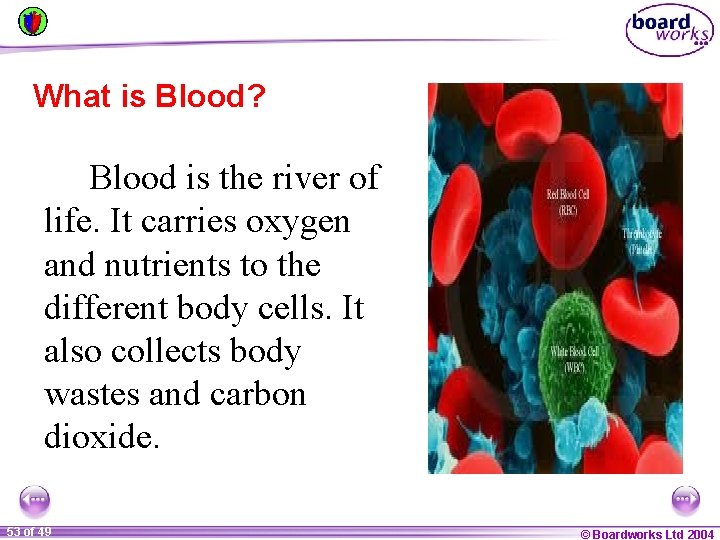 What is Blood? Blood is the river of life. It carries oxygen and nutrients