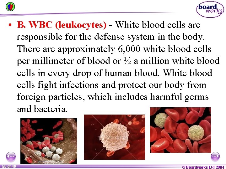  • B. WBC (leukocytes) - White blood cells are responsible for the defense