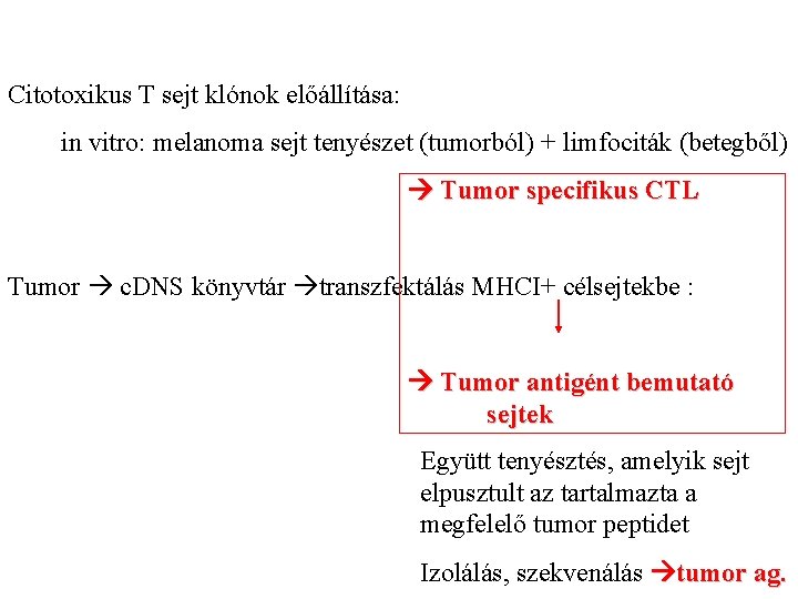 Citotoxikus T sejt klónok előállítása: in vitro: melanoma sejt tenyészet (tumorból) + limfociták (betegből)