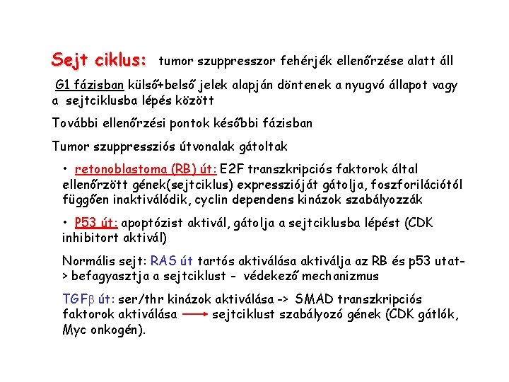 Sejt ciklus: tumor szuppresszor fehérjék ellenőrzése alatt áll G 1 fázisban külső+belső jelek alapján Sejt ciklus: tumor szuppresszor fehérjék ellenőrzése alatt áll G 1 fázisban külső+belső jelek alapján