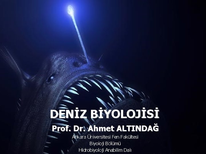 DENİZ BİYOLOJİSİ Prof. Dr. Ahmet ALTINDAĞ Ankara Üniversitesi Fen Fakültesi Biyoloji Bölümü Hidrobiyoloji Anabilim